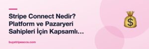 Stripe Connect Nedir? Platform ve Pazaryeri Sahipleri İçin Kapsamlı Rehber
