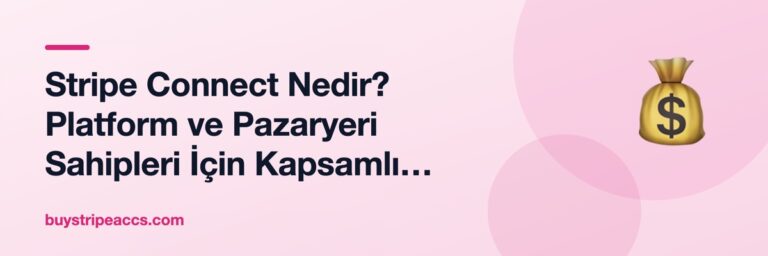 Stripe Connect Nedir? Platform ve Pazaryeri Sahipleri İçin Kapsamlı Rehber